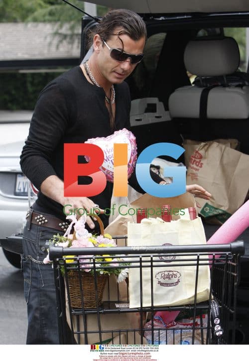 Gavin Rossdale and Sons Shop for Mother's Day