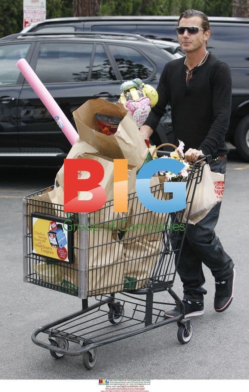 Gavin Rossdale and Sons Shopping for Mother's Day