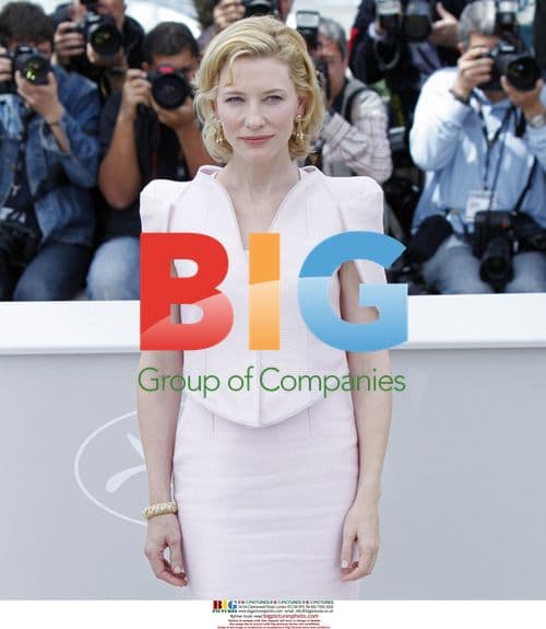 Cate Blanchett at Cannes 'Robin Hood' Photocall