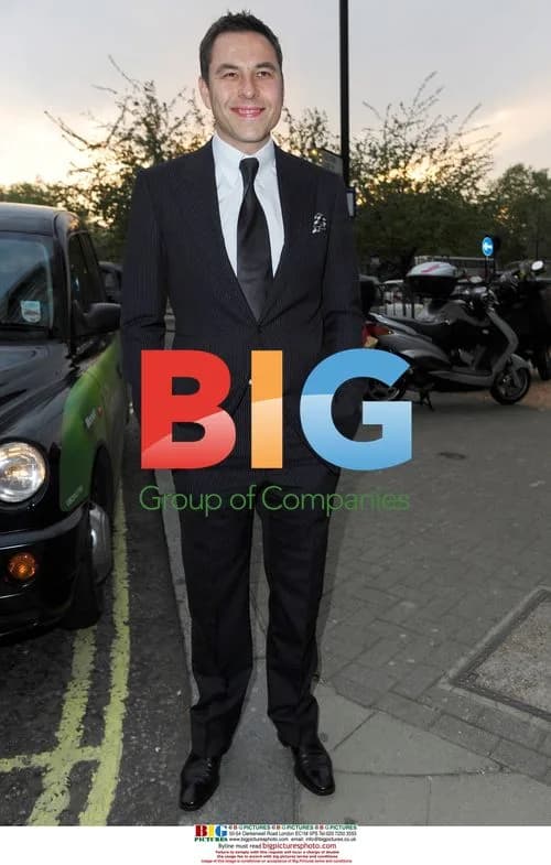 David Walliams' Stag Night