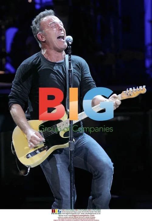 Bruce Springsteen at Rainforest Fund Concert
