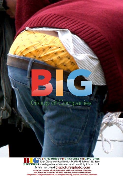 Ashton Kutcher Playing Ball With Dog on Set