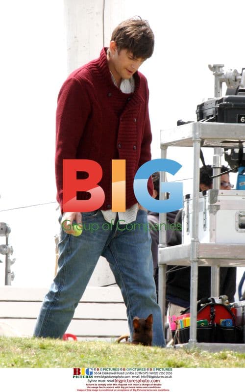 Ashton Kutcher Plays Ball With Dog on Set