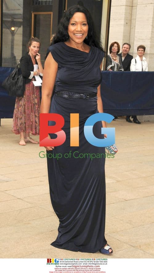 Grace Hightower at 2010 American Ballet Theatre Gala