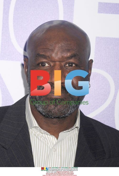Delroy Lindo at FOX Party