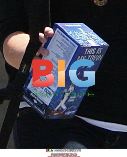 Beckham Family Outing at Skateboard Park