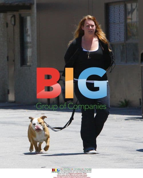 Beckham Family at Skatepark in California