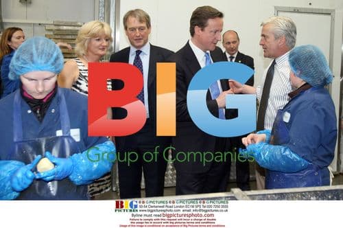 David Cameron visits Mash Direct farm