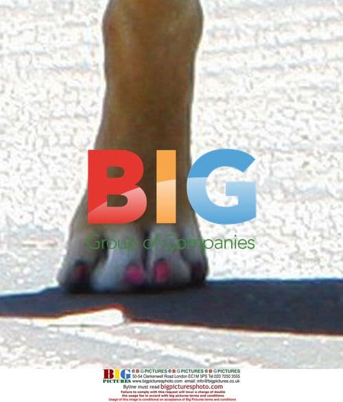 Beckham Family Outing to Skatepark