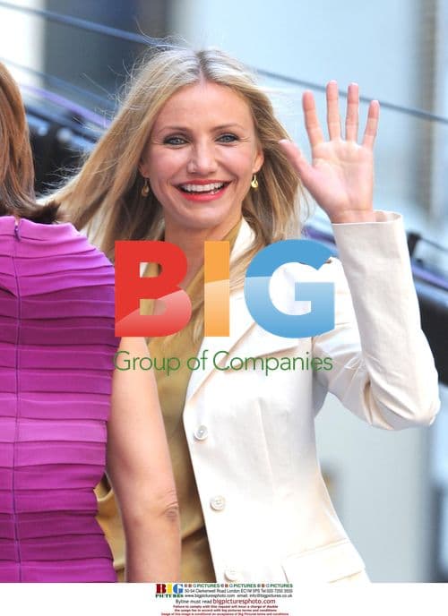 Cameron Diaz at The Script Concert