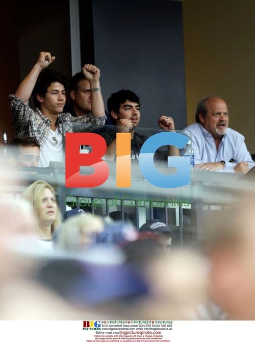 Nick Jonas and Joe Jonas at Baseball Game