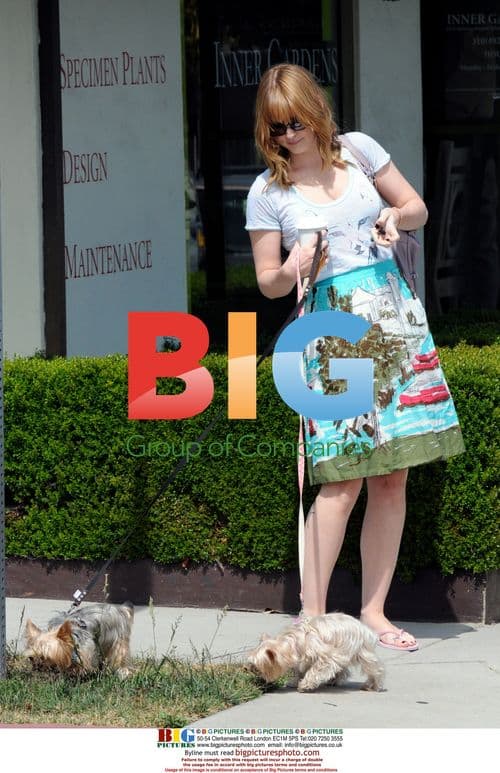 Alex Breckenridge Walking Dogs