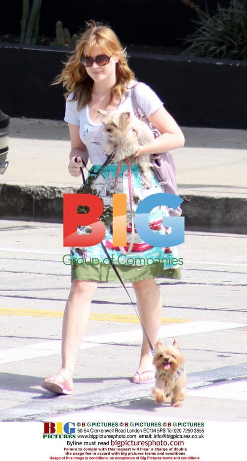 Alex Breckenridge Walking Dogs in LA