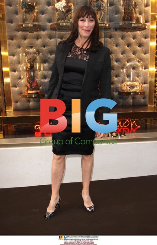 Angelica Houston at Louis Vuitton Launch