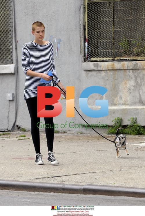 Agyness Deyn Walking Dog in NYC