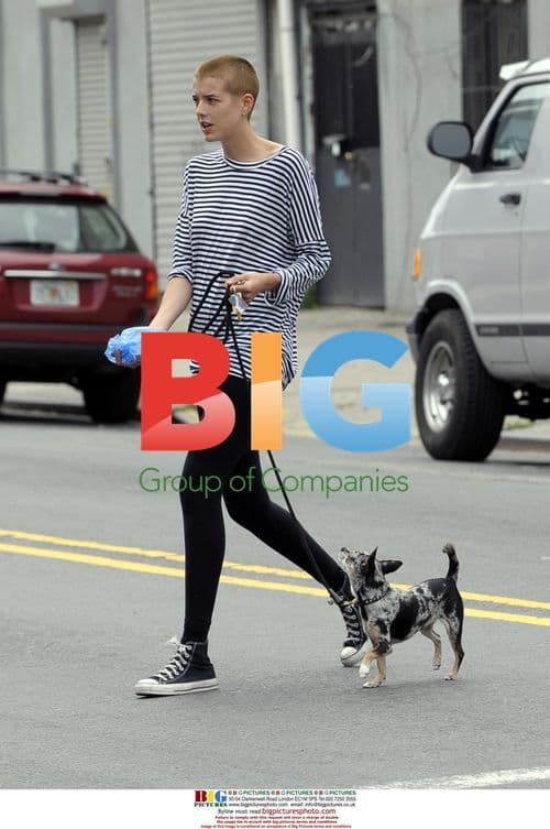 Agyness Deyn walks dog in NYC