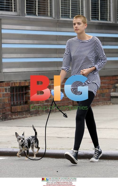 Agyness Deyn walking dog in NYC