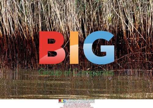 Oil spill in Louisiana