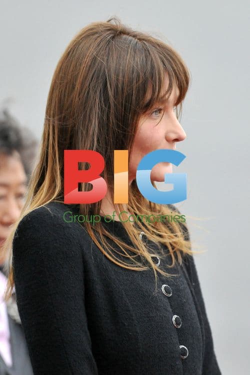 Sarkozy and Bruni greet Chinese president