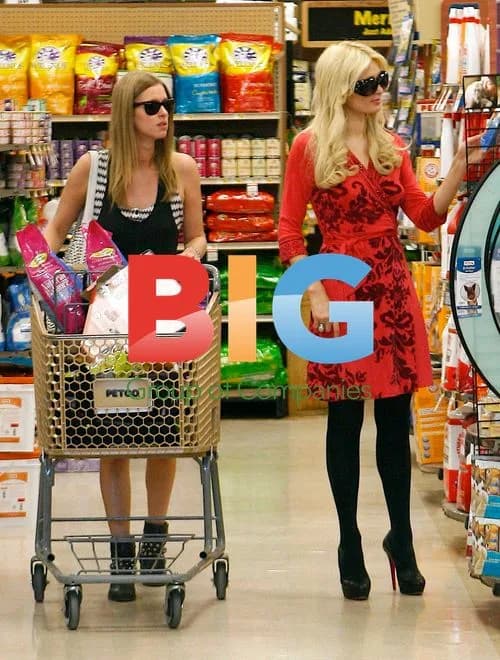 Paris and Nicky Hilton Shopping