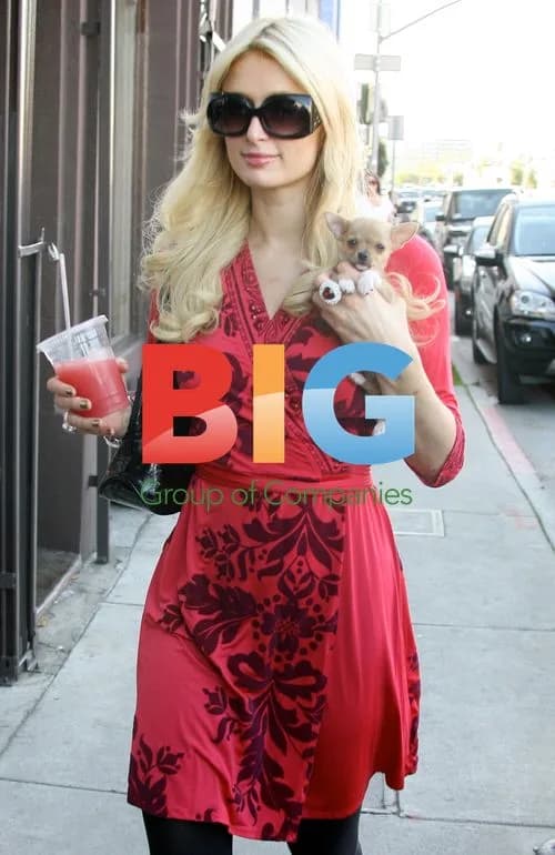 Paris and Nicky Hilton Run Errands in Beverly Hills