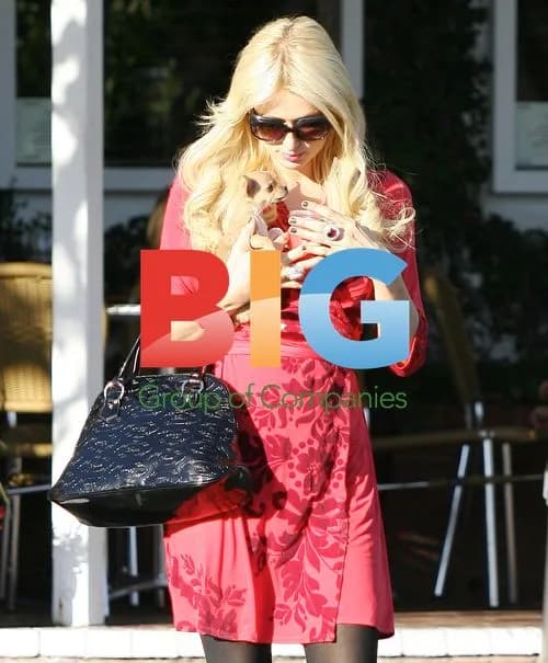 Paris and Nicky Hilton Run Errands