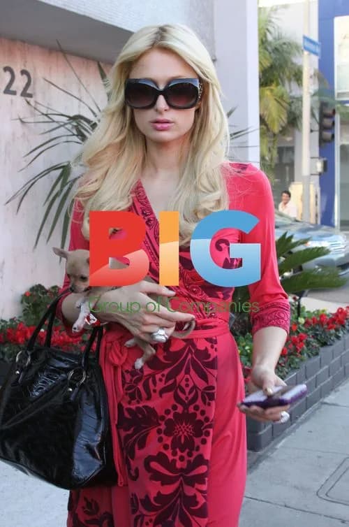 Paris & Nicky Hilton Shopping for Pets