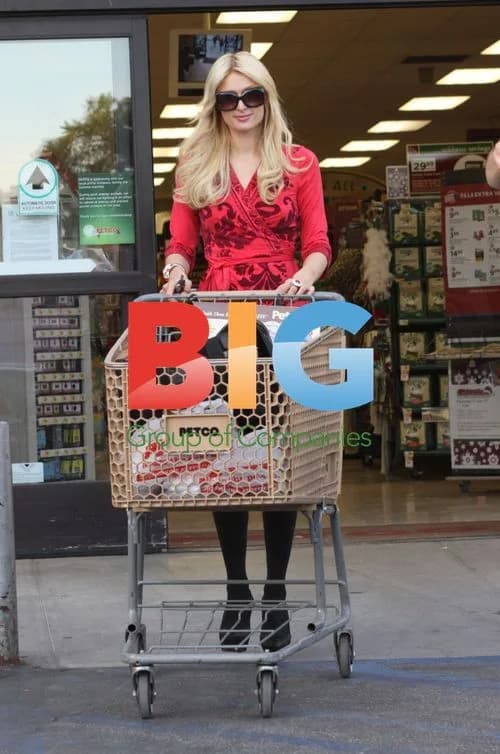 Paris Hilton and Nicky Hilton Shopping for Pets