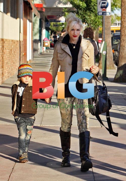 Gwen Stefani and Son Kingston Shopping