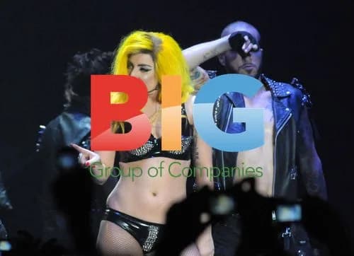 Lady Gaga Torino Concert 2010