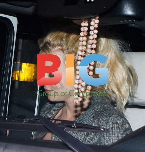Britney Spears Attends All Time Low Concert with Boyfriend