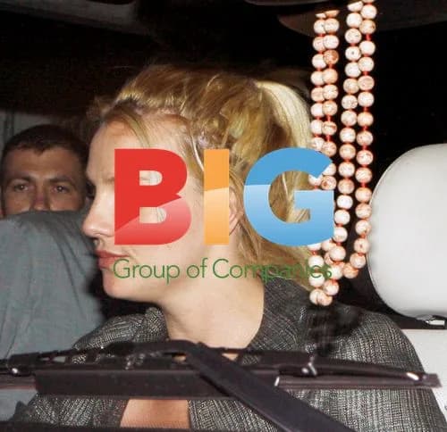 Britney Spears Attends All Time Low Concert