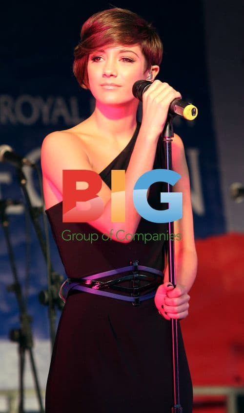 The Saturdays at Remembrance Day in London