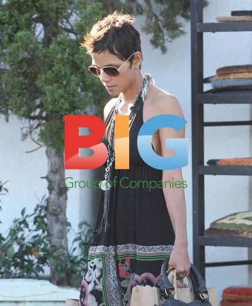 Halle Berry shopping at Bristol Farms