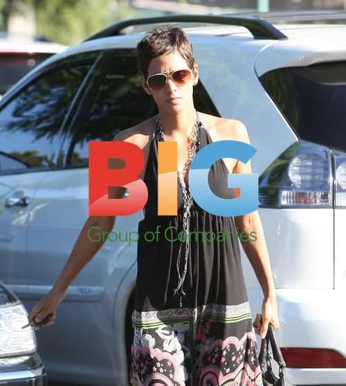 Halle Berry Goes Grocery Shopping