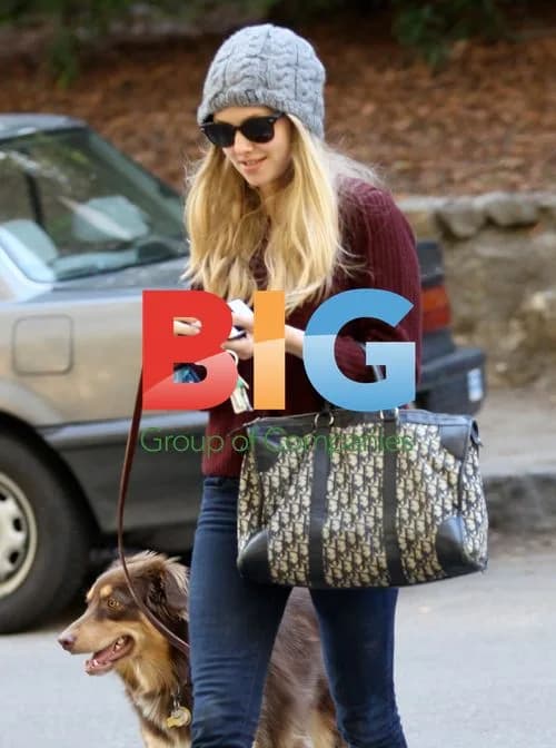 Amanda Seyfried out with friends and dog