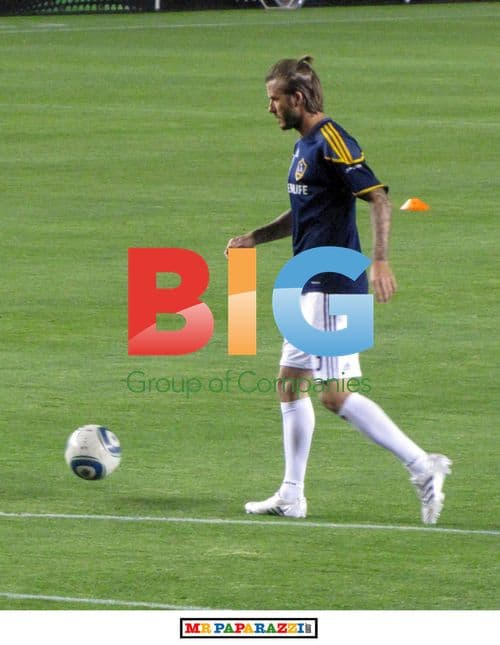 David Beckham Loses MLS Championship