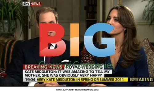Prince William and Kate Middleton Engagement Interview