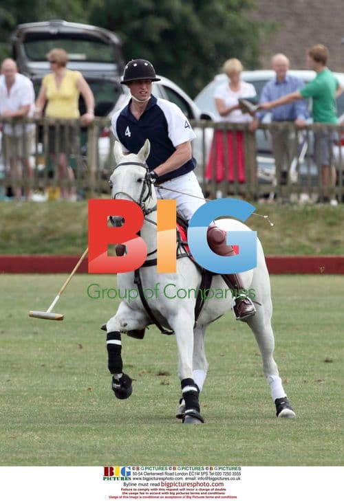 Princes William and Harry at Polo Match