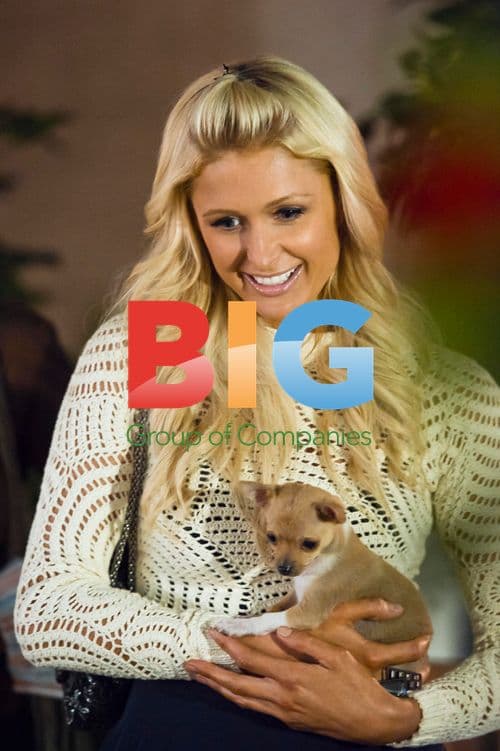 Paris Hilton shopping at Beverly Glen Mall