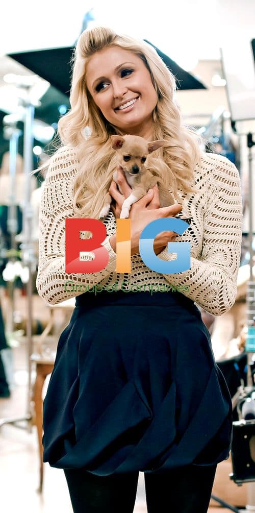 Paris Hilton and Brooke Muller at Beverly Hills Mall