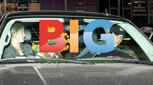 Pregnant Ali Larter At Whole Foods