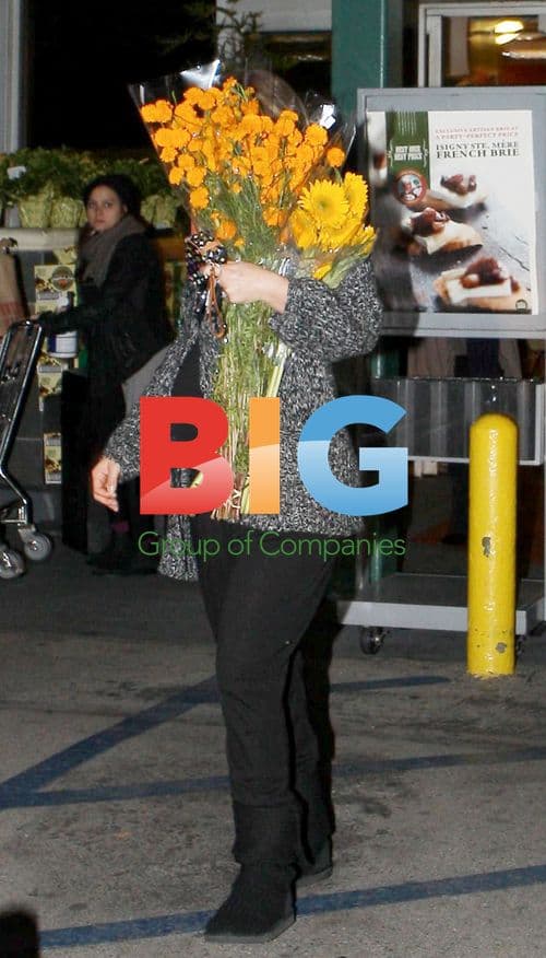 Tired, Pregnant Ali Larter at Whole Foods