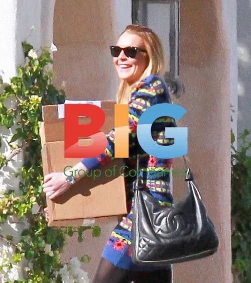 Lindsay Lohan Carries Box at Betty Ford Center