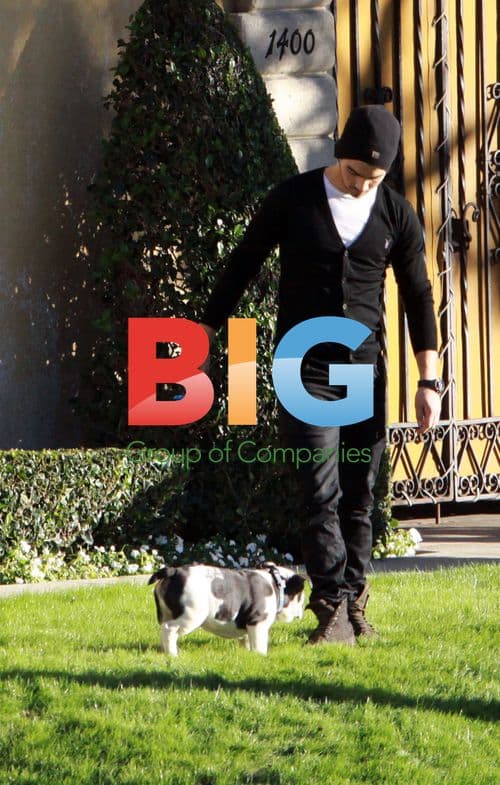 Joe Jonas Walks Dog in Hollywood