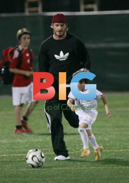 David Beckham with sons