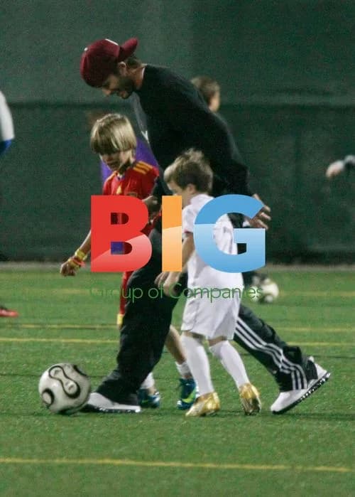 David Beckham and Sons