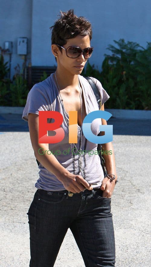 Halle Berry Heads to Meeting in LA