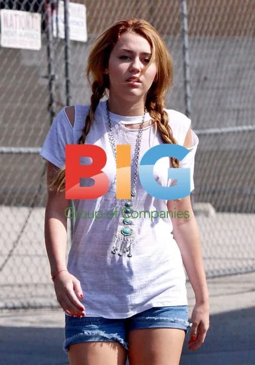 Miley Cyrus Confronts Paparazzi at Lunch
