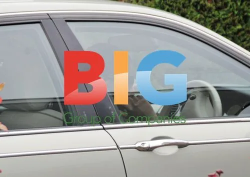 Gamu Nhengu's Mother Arrives Home from Shopping